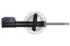 QUINTON HAZELL 178696 Shock Absorber