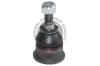 QUINTON HAZELL QSJ1338S Ball Joint