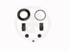 AUTOFREN SEINSA D4134 Repair Kit, brake caliper
