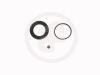 AUTOFREN SEINSA D4150 Repair Kit, brake caliper