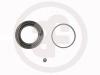 AUTOFREN SEINSA D4361 Repair Kit, brake caliper