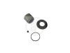 AUTOFREN SEINSA D41042C Repair Kit, brake caliper