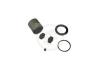 AUTOFREN SEINSA D41054C Repair Kit, brake caliper