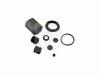 AUTOFREN SEINSA D41064C Repair Kit, brake caliper