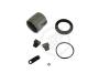 AUTOFREN SEINSA D4974C Repair Kit, brake caliper