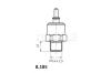 BEHR THERMOT-TRONIK TSW44D Temperature Switch, radiator fan