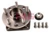FAG 713697110 Wheel Bearing Kit