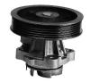 MAGNETI MARELLI 352316170321 Water Pump