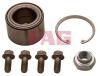 FAG 713623600 Wheel Bearing Kit