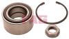 FAG 713640500 Wheel Bearing Kit