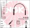 NGK 44229 Ignition Cable Kit