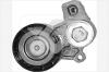 HUTCHINSON T1008 Tensioner Pulley, v-ribbed belt