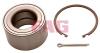 FAG 713613870 Wheel Bearing Kit