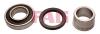 FAG 713623450 Wheel Bearing Kit