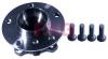 FAG 713649510 Wheel Bearing Kit