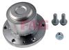 FAG 713668020 Wheel Bearing Kit