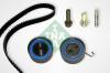 INA 530049110 Timing Belt Kit
