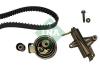 INA 530034010 Timing Belt Kit