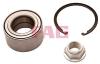 FAG 713615730 Wheel Bearing Kit