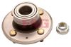 FAG 713617800 Wheel Bearing Kit