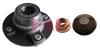 FAG 713613900 Wheel Bearing Kit