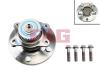 FAG 713626710 Wheel Bearing Kit