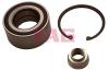 FAG 713623490 Wheel Bearing Kit