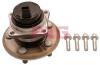 FAG 713618830 Wheel Bearing Kit