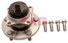 FAG 713618850 Wheel Bearing Kit