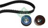 INA 530030410 Timing Belt Kit