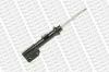 MONROE E4868 Shock Absorber