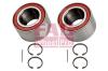 FAG 713801810 Wheel Bearing Kit