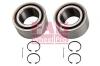 FAG 713802110 Wheel Bearing Kit