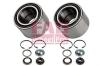 FAG 713802510 Wheel Bearing Kit
