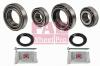 FAG 713800110 Wheel Bearing Kit