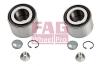 FAG 713801510 Wheel Bearing Kit