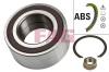 FAG 713640020 Wheel Bearing Kit