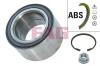 FAG 713668100 Wheel Bearing Kit