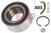 FAG 713649580 Wheel Bearing Kit