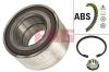 FAG 713620410 Wheel Bearing Kit