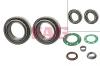 FAG 713679110 Wheel Bearing Kit