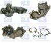 Saleri SIL PA1250 Water Pump