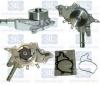 Saleri SIL PA1244 Water Pump