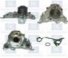 Saleri SIL PA1310 Water Pump