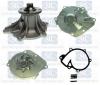 Saleri SIL PA1457 Water Pump