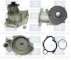 Saleri SIL PA927 Water Pump