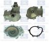 Saleri SIL PA1297 Water Pump