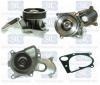 Saleri SIL PA1249S Water Pump