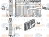 BEHR 8FV351331-271 (8FV351331271) Evaporator, air conditioning