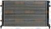 BEHR 8MK376700-494 (8MK376700494) Radiator, engine cooling